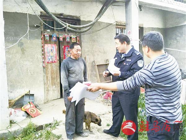 平輿道路最新規劃圖，塑造未來城市交通骨架新篇章